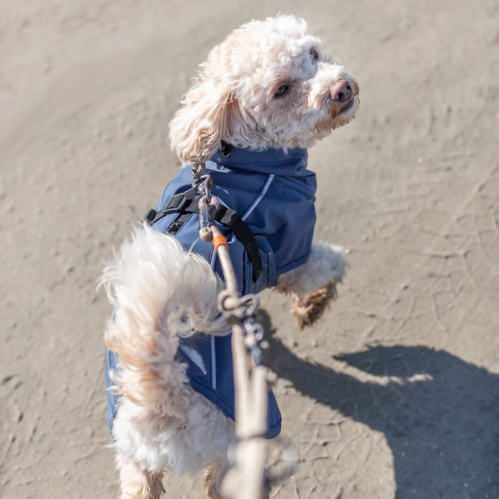 Trixie Be Nordic Regenjas voor Honden - Husum Blauw - Ruglengte 30 cm - XS