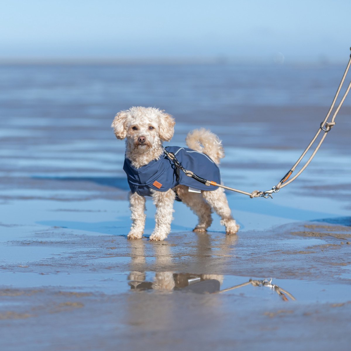 Trixie Be Nordic Regenjas voor Honden - Husum Blauw - Ruglengte 30 cm - XS