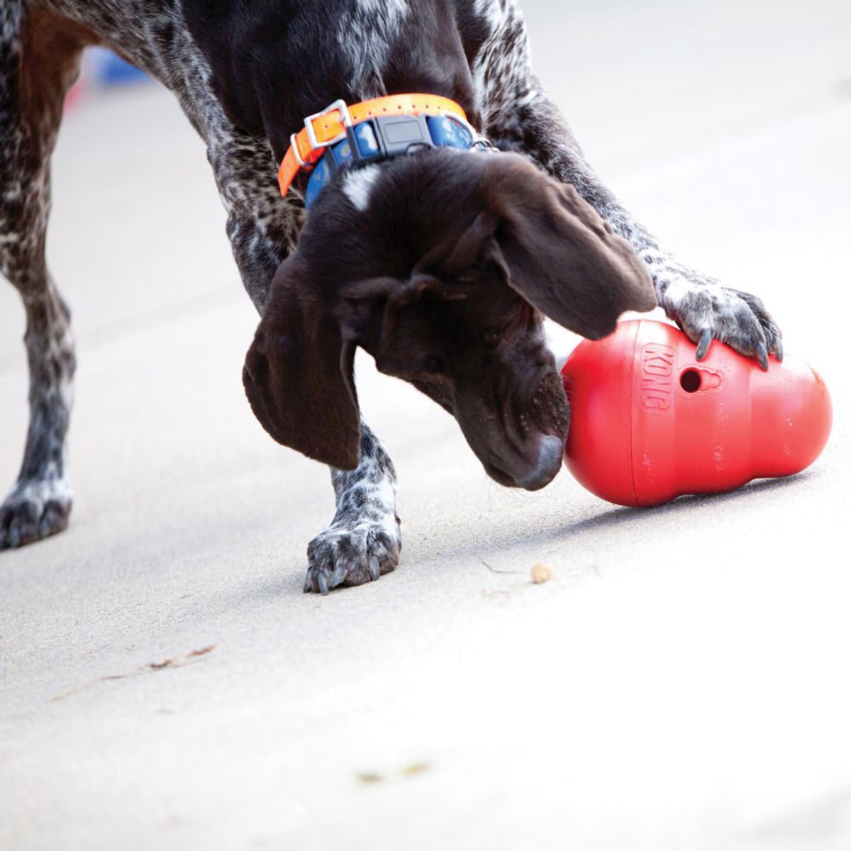 KONG Snack Dispenser Wobbler - Dog Toy - size L - 19 cm - Red