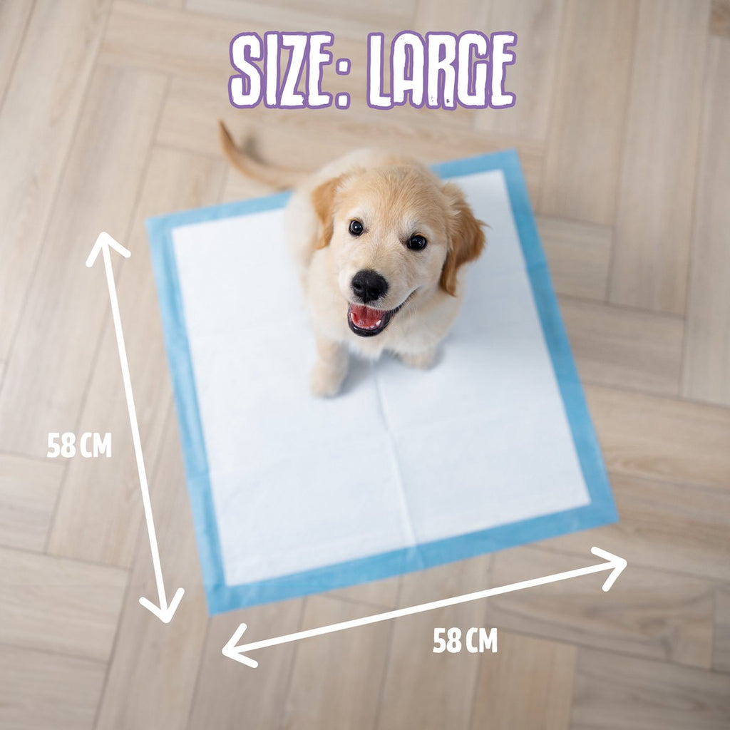 Easypets Puppy Training Pads - 105 count - Potty Training - Dog Toilet - 58 x 58 cm