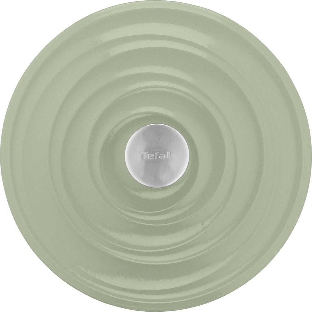 Tefal LOV - Braadpan - Ø25 cm - Groen - 5L - Inductie