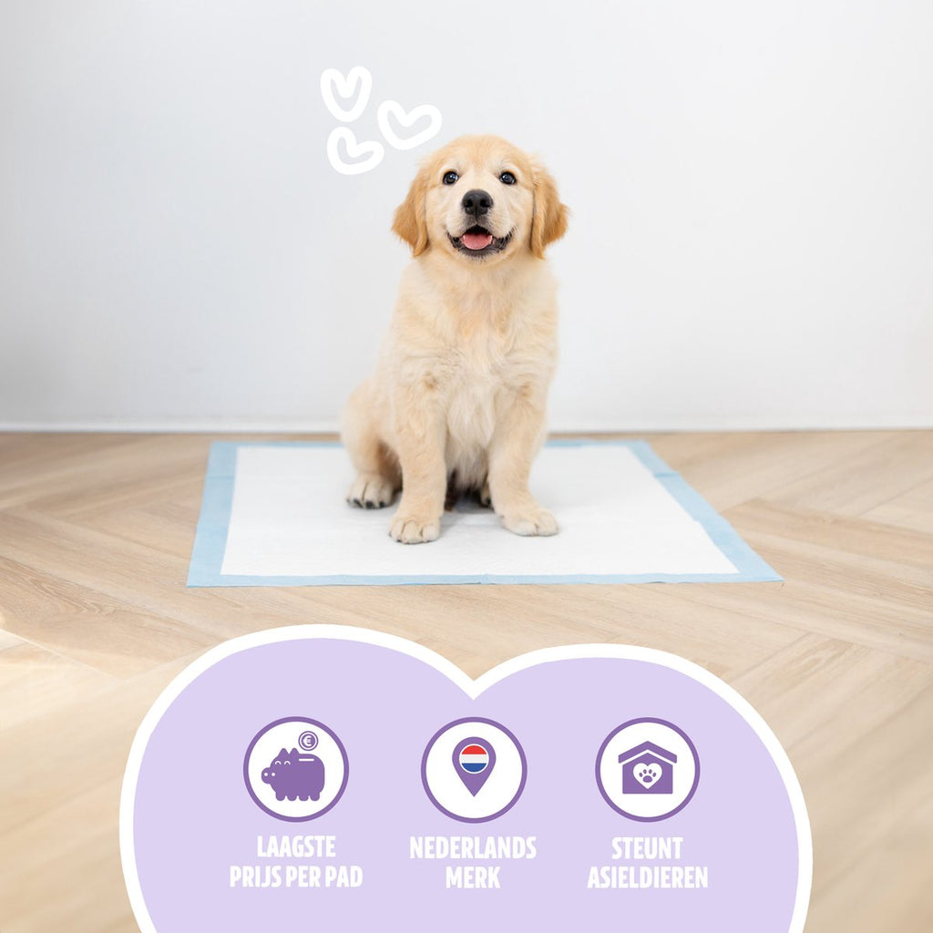 Easypets Puppy Training Pads - 105 count - Potty Training - Dog Toilet - 58 x 58 cm