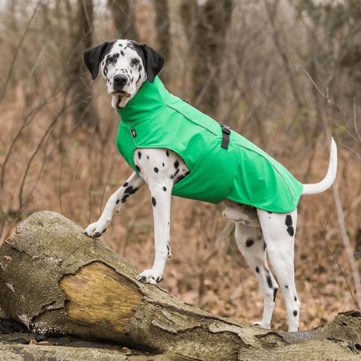 Trixie Regenjas Hond - Vimy - Geel - Ruglengte 62 cm - 3XL
