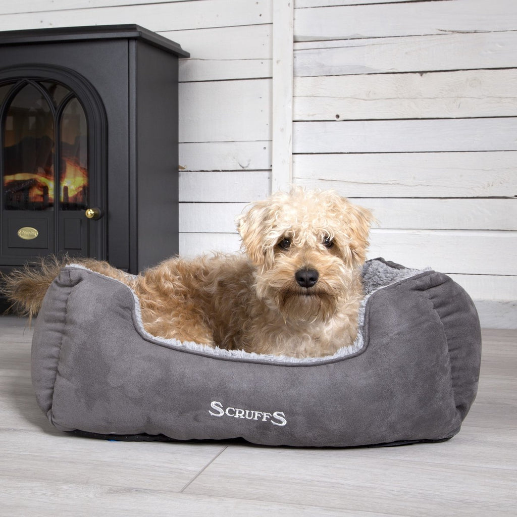 Scruffs Cosy - Comfortable Soft Padded Dog Bed - Caramel Brown - Medium 60 x 50 cm