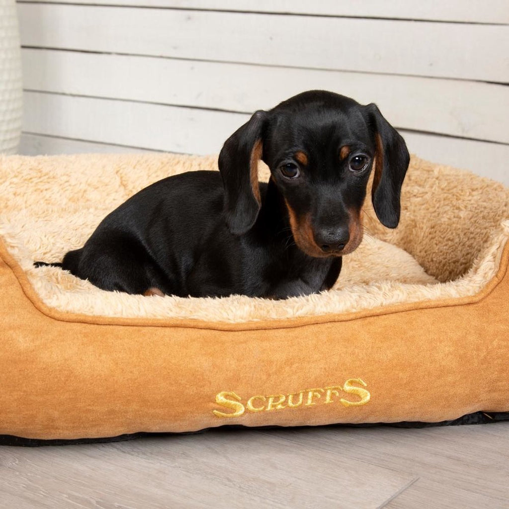 Scruffs Cosy - Comfortable Soft Padded Dog Bed - Caramel Brown - Medium 60 x 50 cm