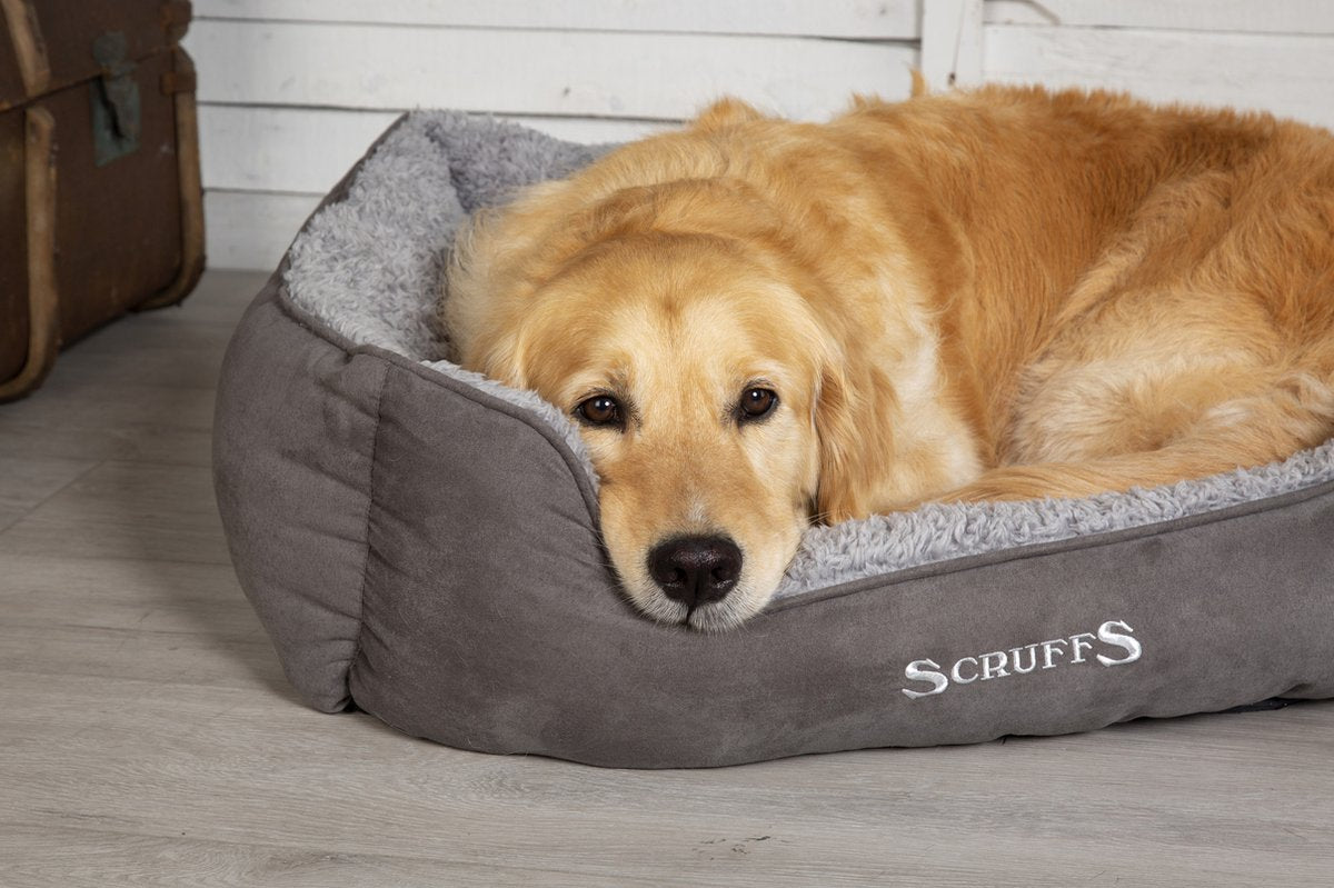 Scruffs Cosy - Comfortable Soft Padded Dog Bed - Caramel Brown - Medium 60 x 50 cm