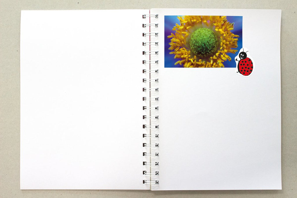 Kangaro plakboek - A5+ - 120 grams - 80 pagina's - roze