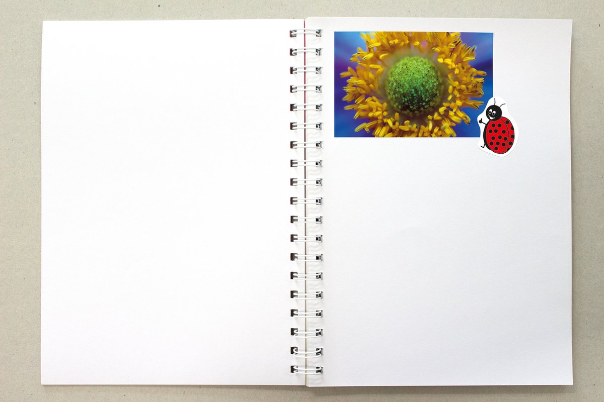 Kangaro plakboek - A5+ - 120 grams - 80 pagina's - roze