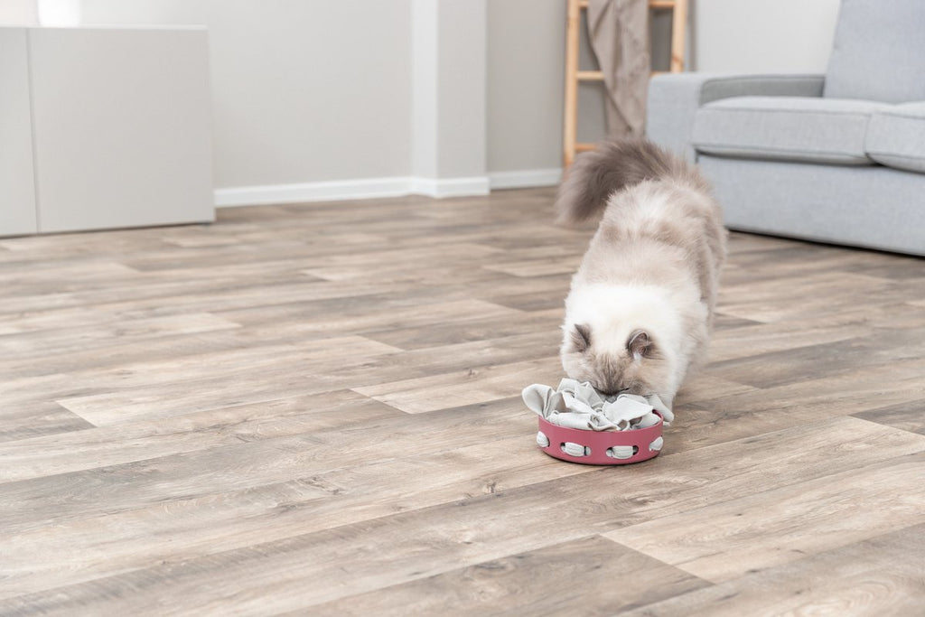 Trixie Cat Activity - Hide'n'Sniff Bowl - Kunststof - 18x18 cm