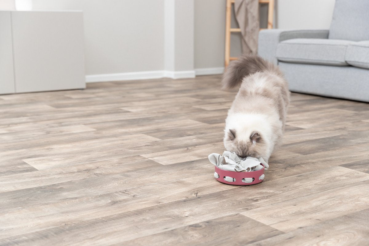 Trixie Cat Activity - Hide'n'Sniff Bowl - Kunststof - 18x18 cm