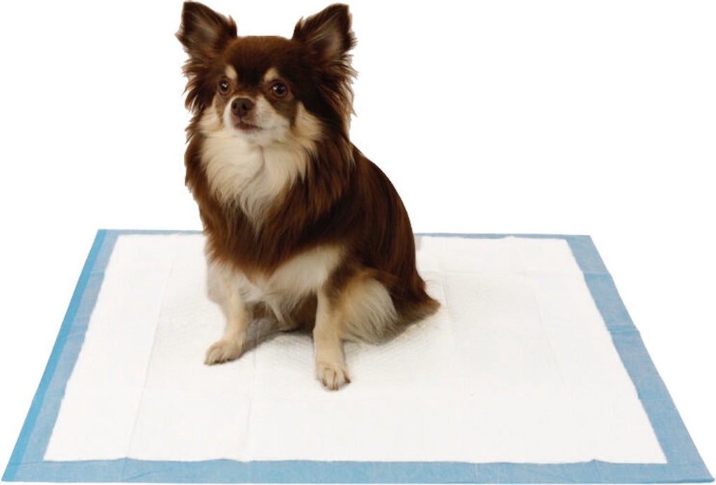 Easypets Puppy Training Pads - 105 count - Potty Training - Dog Toilet - 58 x 58 cm