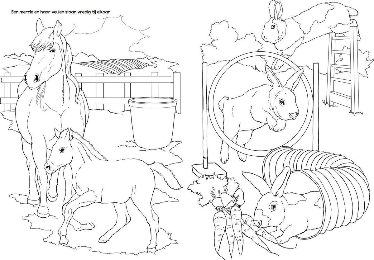 Tactic Selecta Boerderijdieren Kleurboek - 48 Pagina's - Kleurboek voor Kinderen - Boerderij - Vanaf 2 Jaar