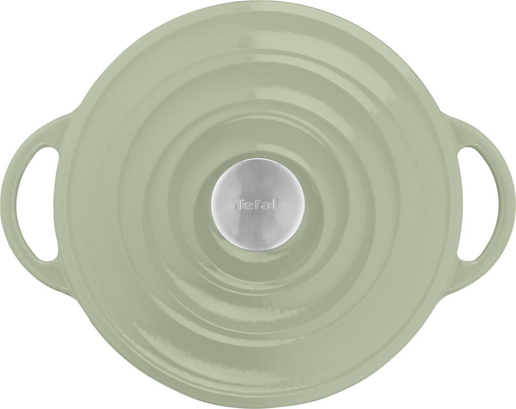 Tefal LOV - Braadpan - Ø25 cm - Groen - 5L - Inductie