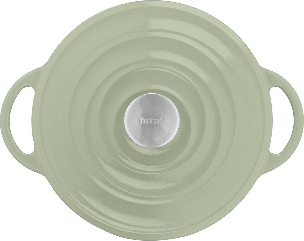 Tefal LOV - Braadpan - Ø25 cm - Groen - 5L - Inductie