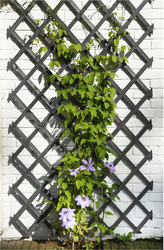 Nature - Houten Klimrek 150 x 50cm - Klim-En Geleide Artikel - Antraciet