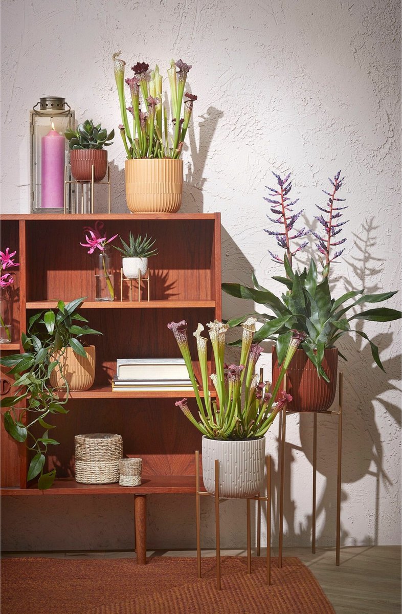 Mica Decorations - bloempot plantenpot standaard / verhoger - goud - B18.5 x H55 cm - metaal