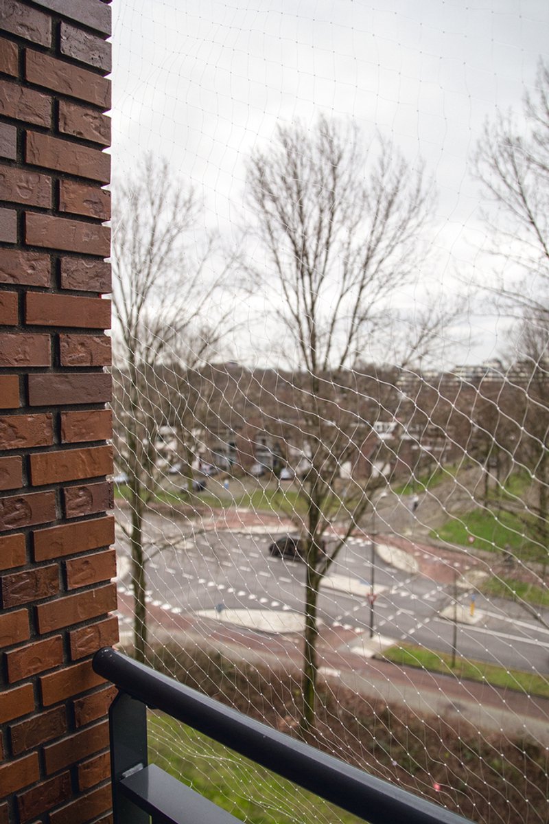 Beeztees Kattennet - Kattengaas voor balkon - Eenvoudig te bevestigen - Transparant - 8x3 m