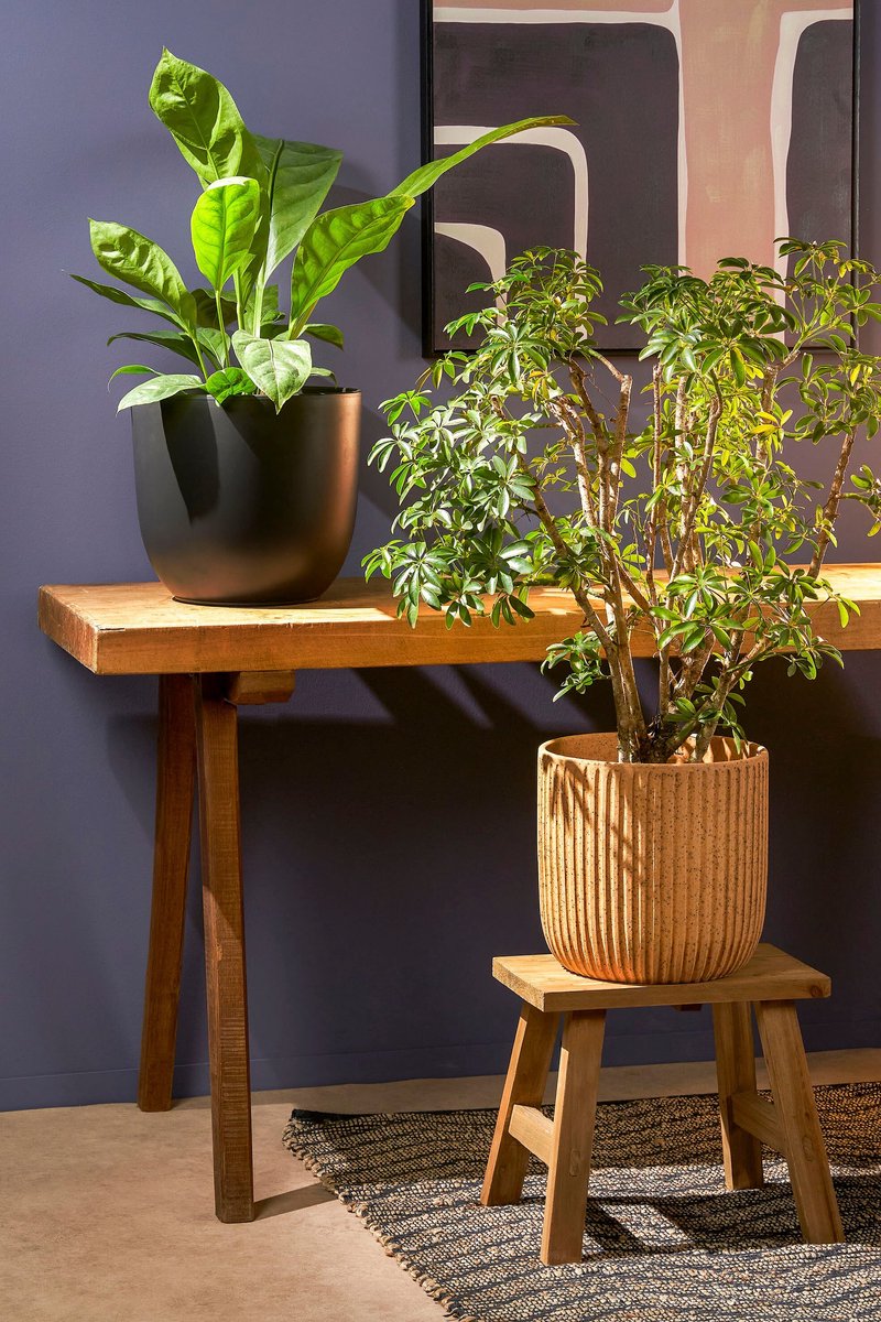 Mica Decorations Bold Wooden Stool - Side Table or Plant Stand - 38 x 29 x 34 cm - Recycled Wood - Brown